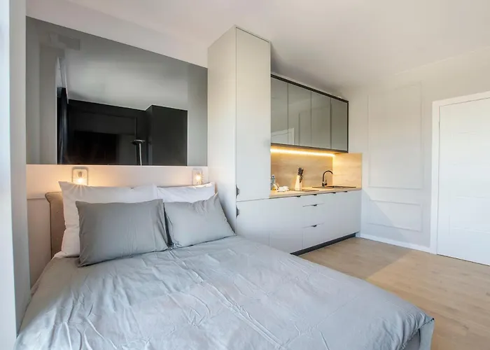 Apartament Centrum Wigury Dostep Na Kod Blisko Galeria Lodzka Piotrkowska Szary